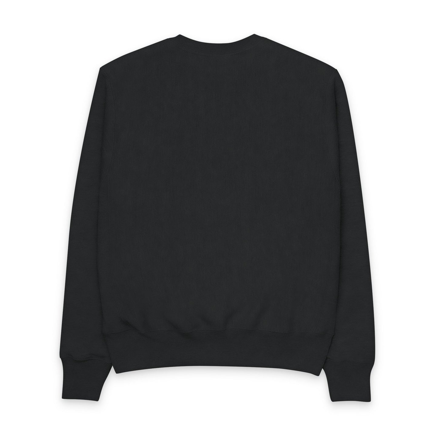 NASA-Inspired Men's Champion Crewneck Sweatshirt - Space Graphic Design