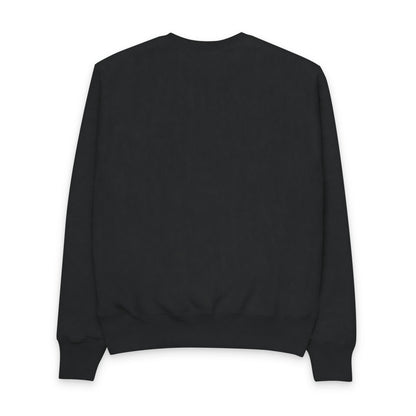 NASA-Inspired Men's Champion Crewneck Sweatshirt - Space Graphic Design