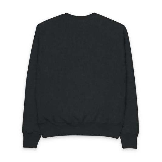 NASA-Inspired Men's Champion Crewneck Sweatshirt - Space Graphic Design